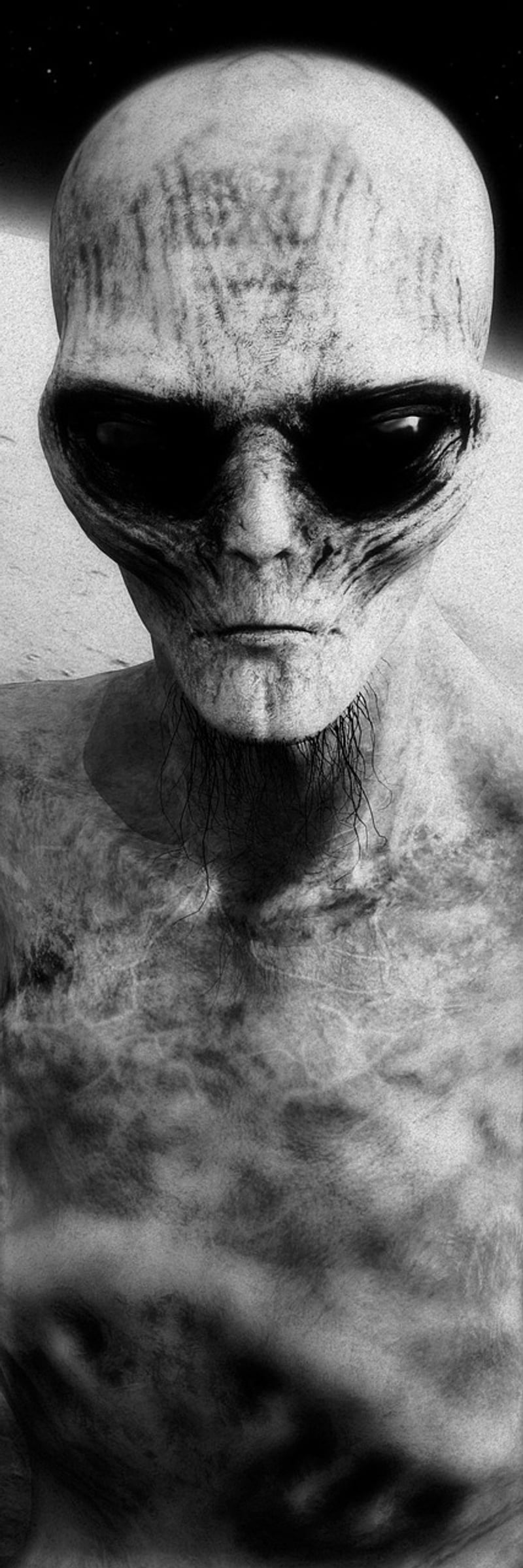 SETI Research